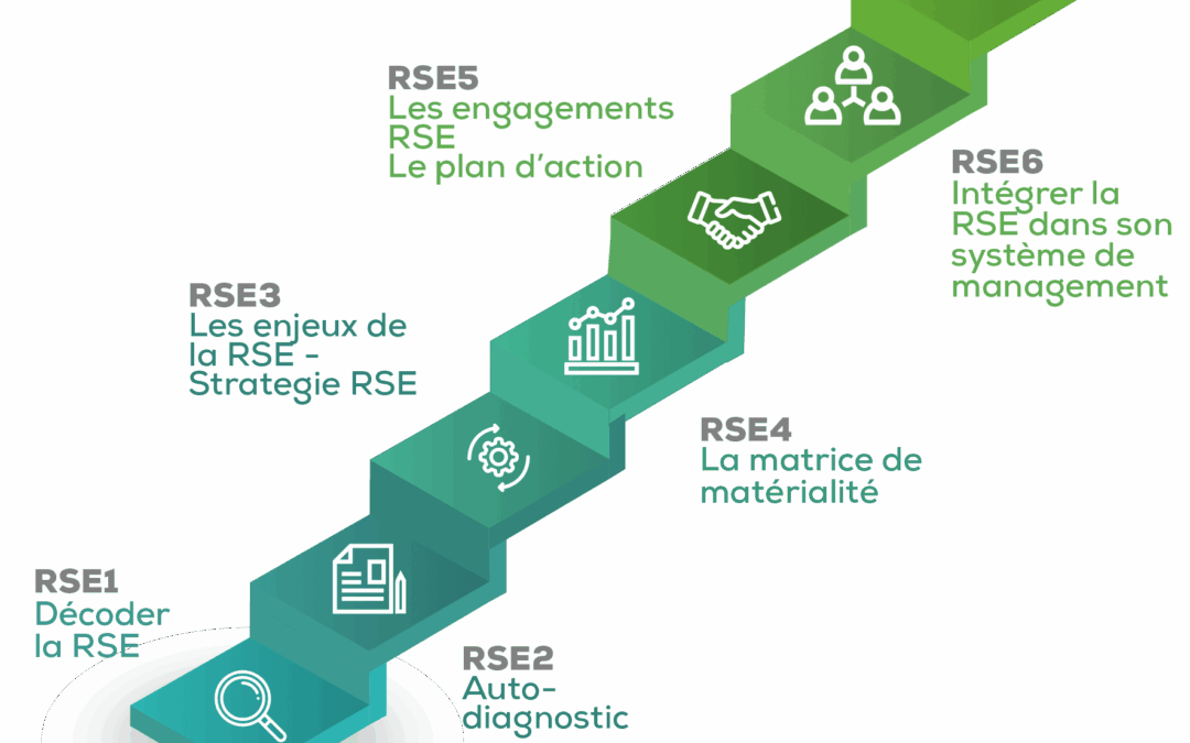 Programme Transition