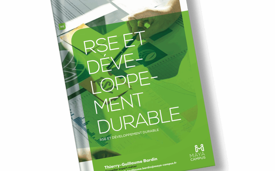 Mockup RSE1