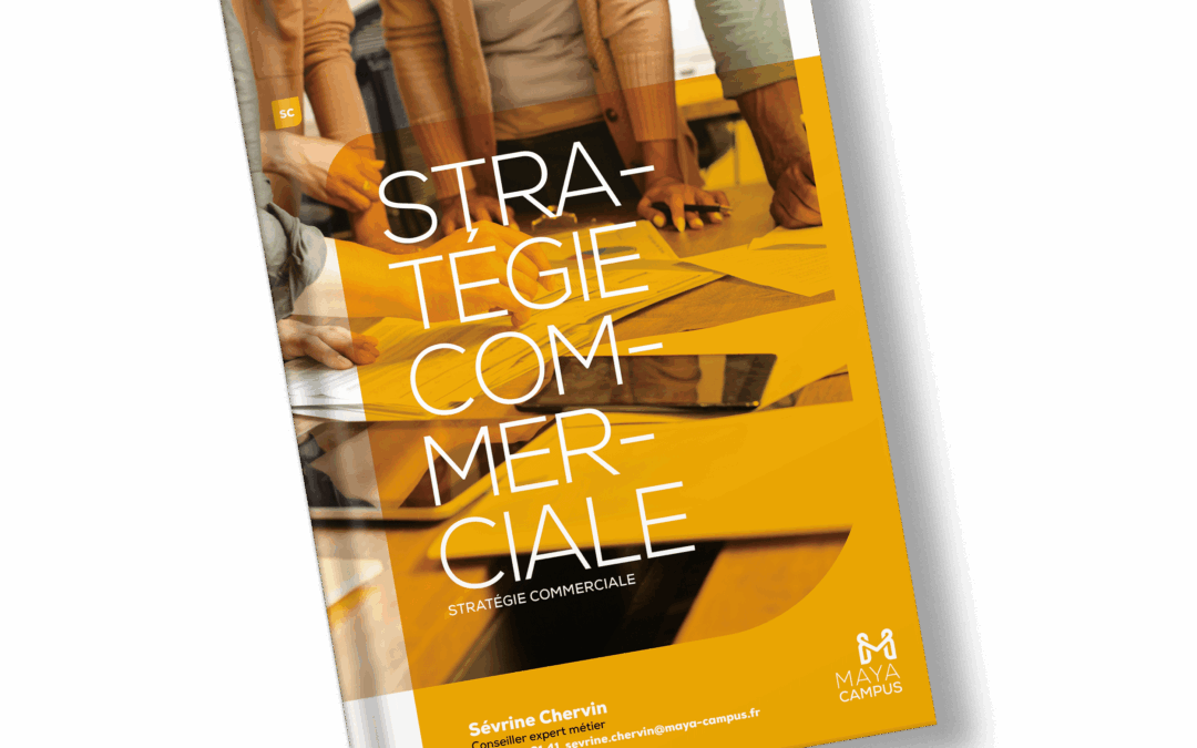 Mockup CTLG SC