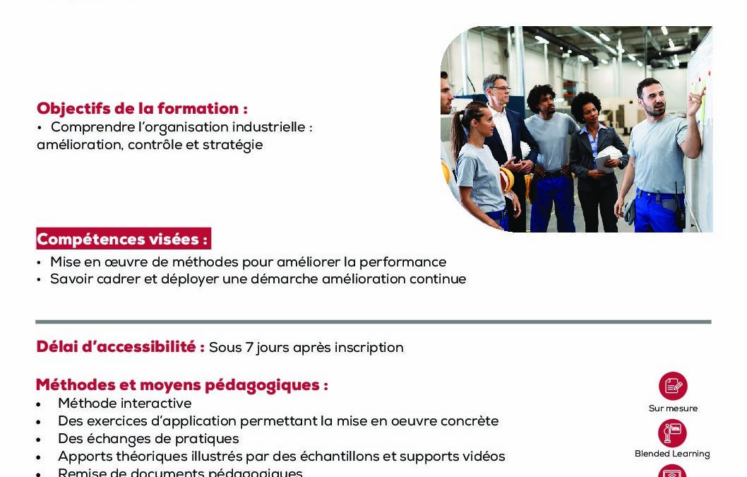 PI10 Organisation industrielle