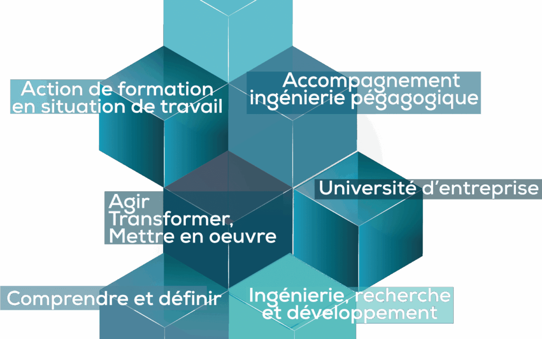 Conseil et expertise