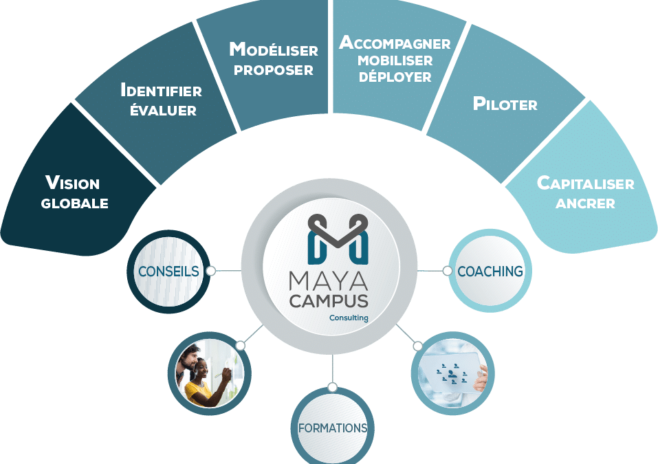 Maya Consulting